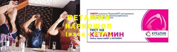 шишки Переславль-Залесский