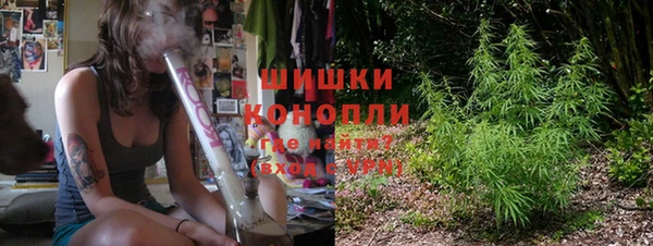 шишки Переславль-Залесский