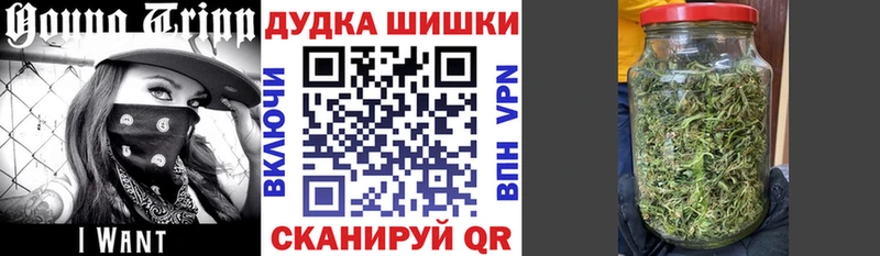 как найти   Эртиль  Шишки марихуана ГИДРОПОН 